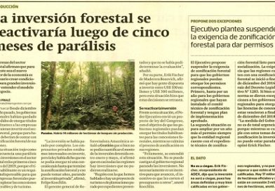 La inversión forestal se reactivaría luego de cinco meses de parálisis.