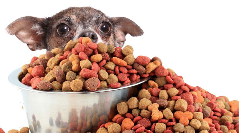 Evolución del Mercado Internacional y Nacional de Alimentos para Mascotas -  Centro de Investigación de Economía y Negocios Globales